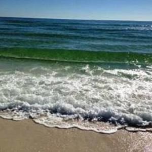 Meet your Posher, Toni